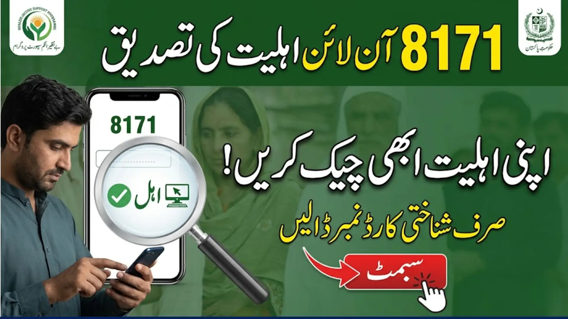 How to Check 8171 Validation Status Online Step by Step