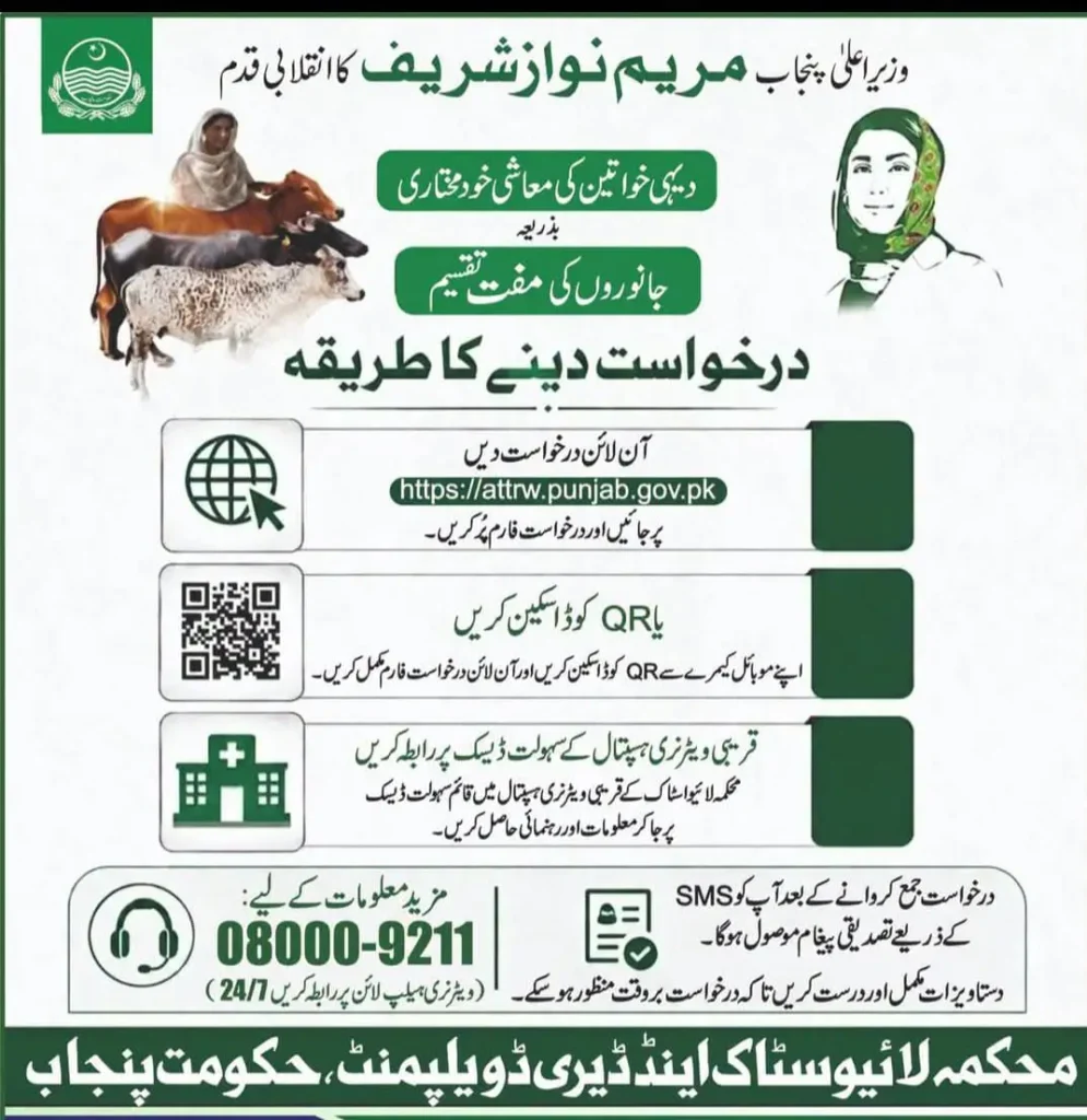 Free Cow and Buffalo Scheme for Rural Women in Punjab Through Maryam Nawaz 