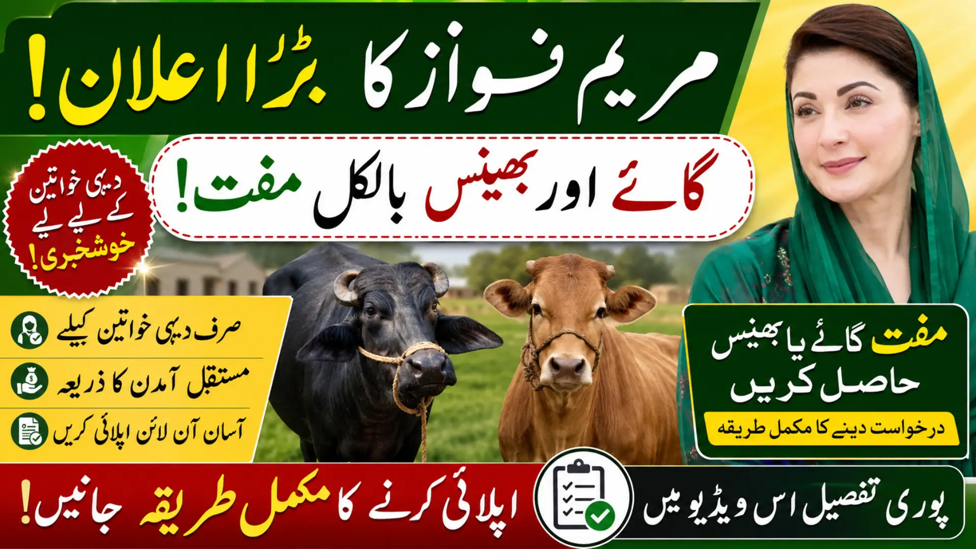 Free Cow and Buffalo Scheme for Rural Women in Punjab Through Maryam Nawaz
